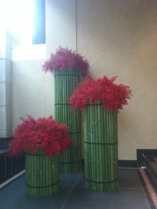 青竹ディスプレイ