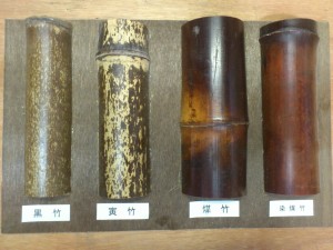 竹の種類
