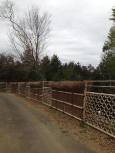 竹の径（たけのみち）