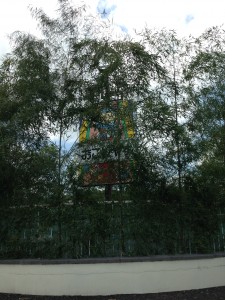 竹のディスプレイ