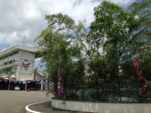 竹のディスプレイ