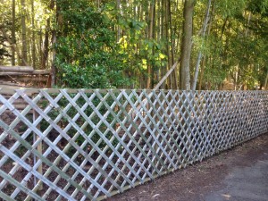 竹の径　寺戸垣