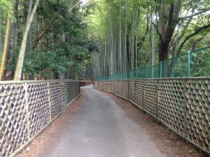 竹の径　寺戸垣