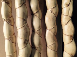 京銘竹　亀甲竹