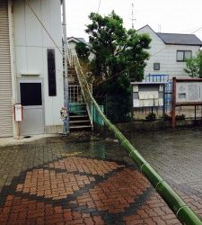 西日本最大級の七夕竹飾りを！！