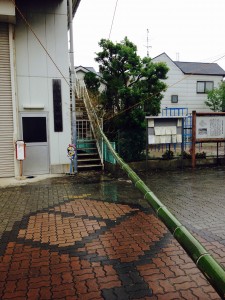 ディスプレイの竹