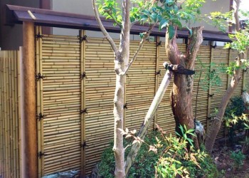 0fc06f38acfa198fcf1ba5f30effae83