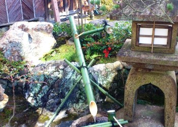 3d0bd7de4c754f72b93286d744d5df85