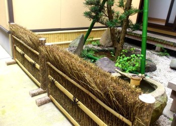 61f0564f857aa083ed216cbe99a3727a