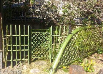 63c1d184e3a48548a0b68d7483a416aa