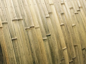 胡麻竹 犬やらい(駒寄せ)3