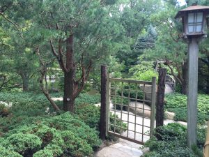 アメリカでの実演@anderson japanese gardens