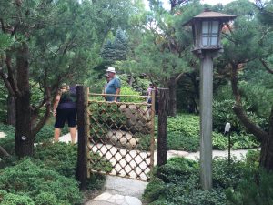 アメリカでの実演@anderson japanese gardens