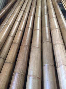 京銘竹　胡麻竹