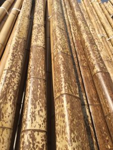 京銘竹　図面角竹