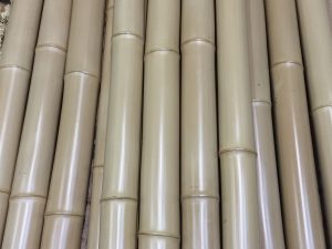 京銘竹　白竹