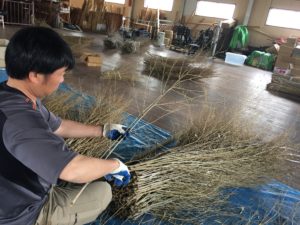 竹枝穂垣 アメリカで設置