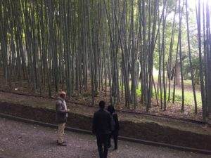 イタリア・ローマでの植物園視察