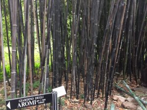 イタリア・ローマでの植物園視察