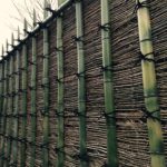 竹枝穂垣（桂離宮）