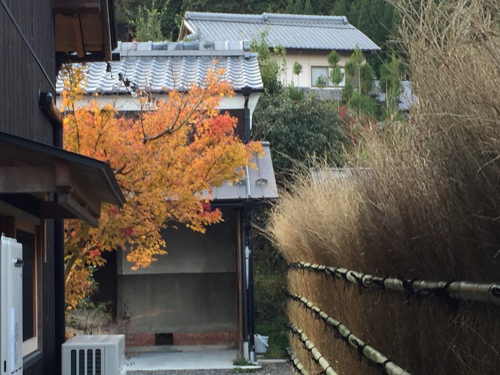 %ARABICA竹垣施工中