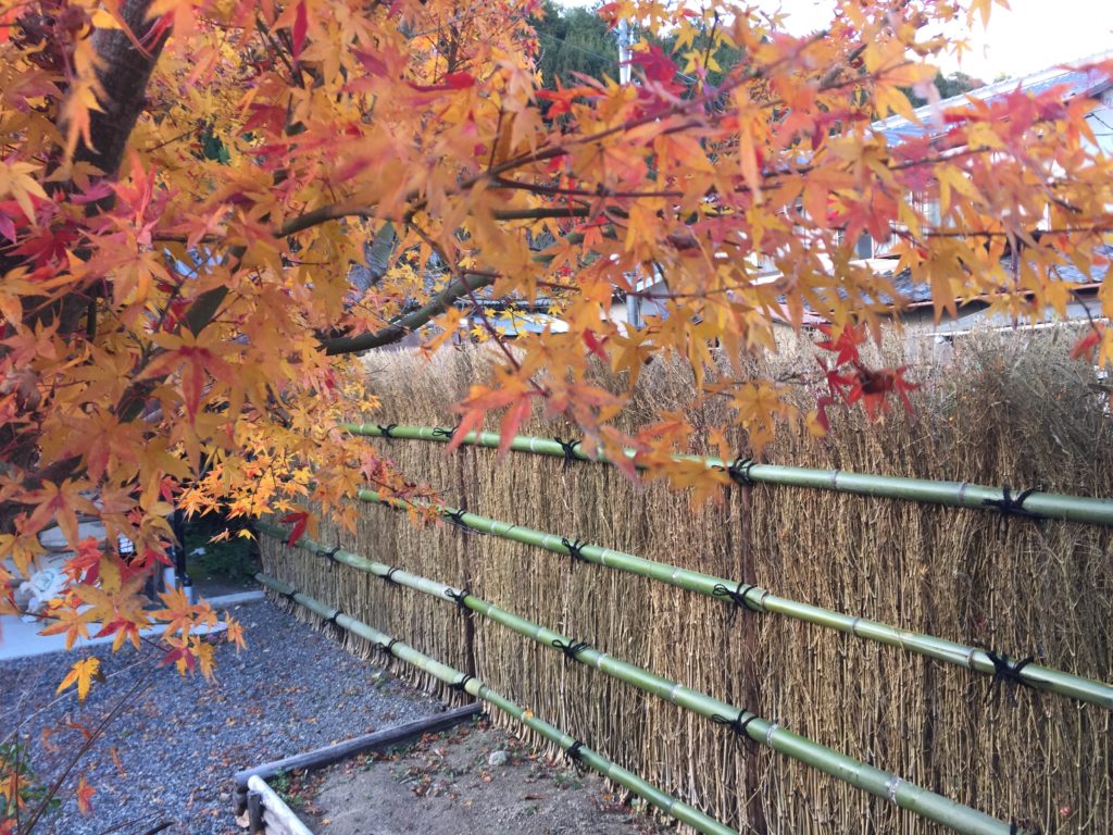 %ARABICA竹垣施工