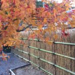 %ARABICA竹垣施工