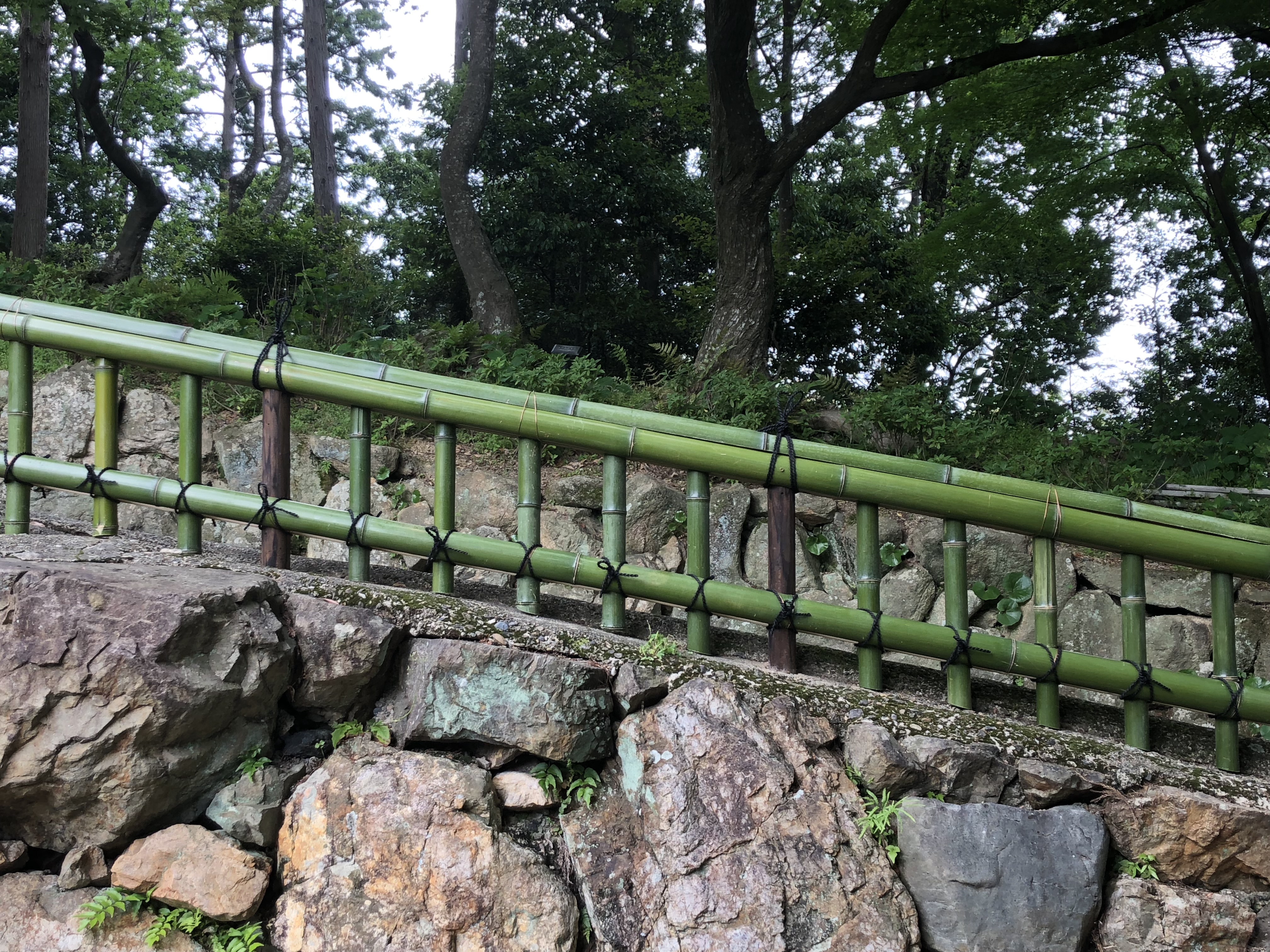 柳谷観音楊谷寺金閣寺垣