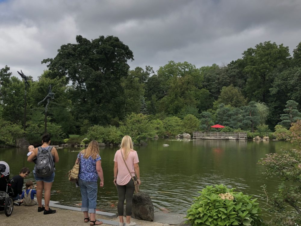 andersonjapanesegardens