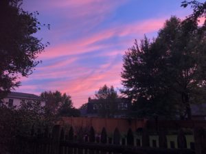 andersonjapanesegardens