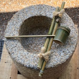 missouribotanicalgarden実演風景