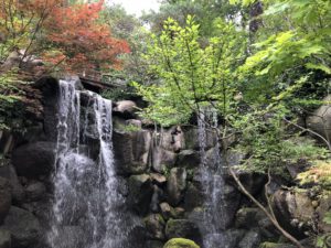 andersonjapanesegardens