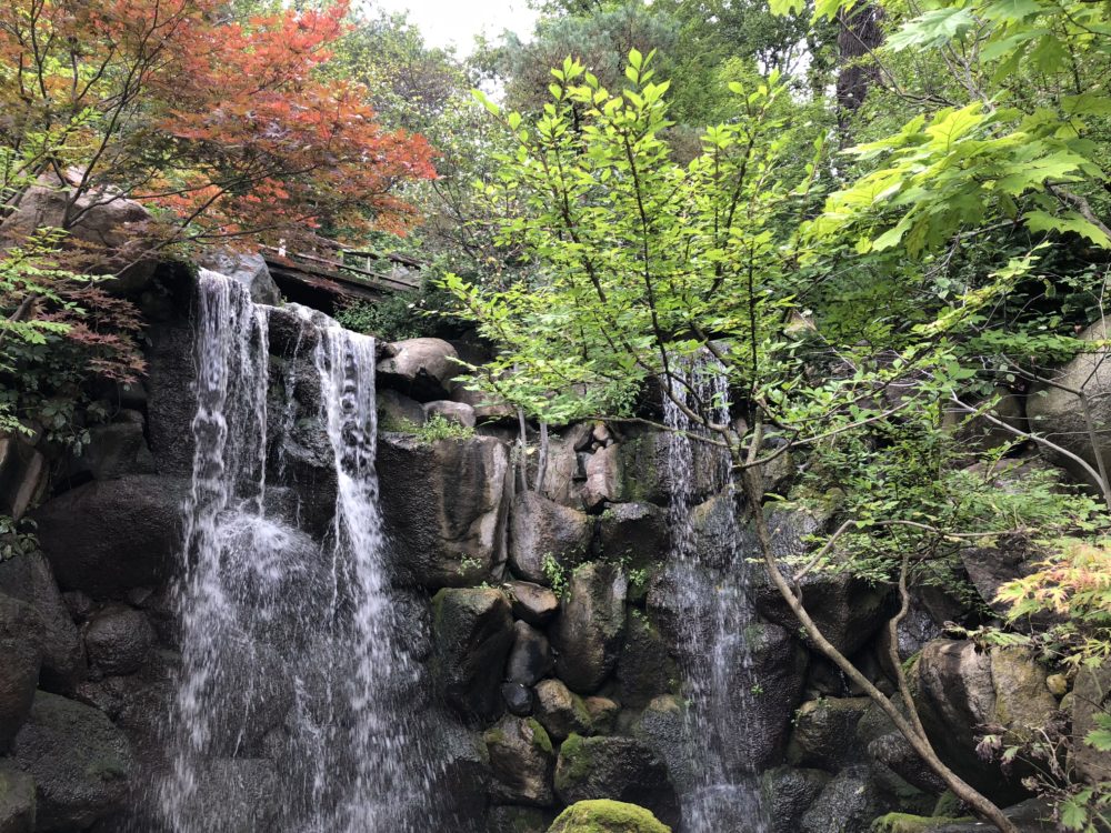 andersonjapanesegardens