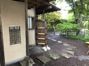 missouribotanicalgarden萩の玉袖垣