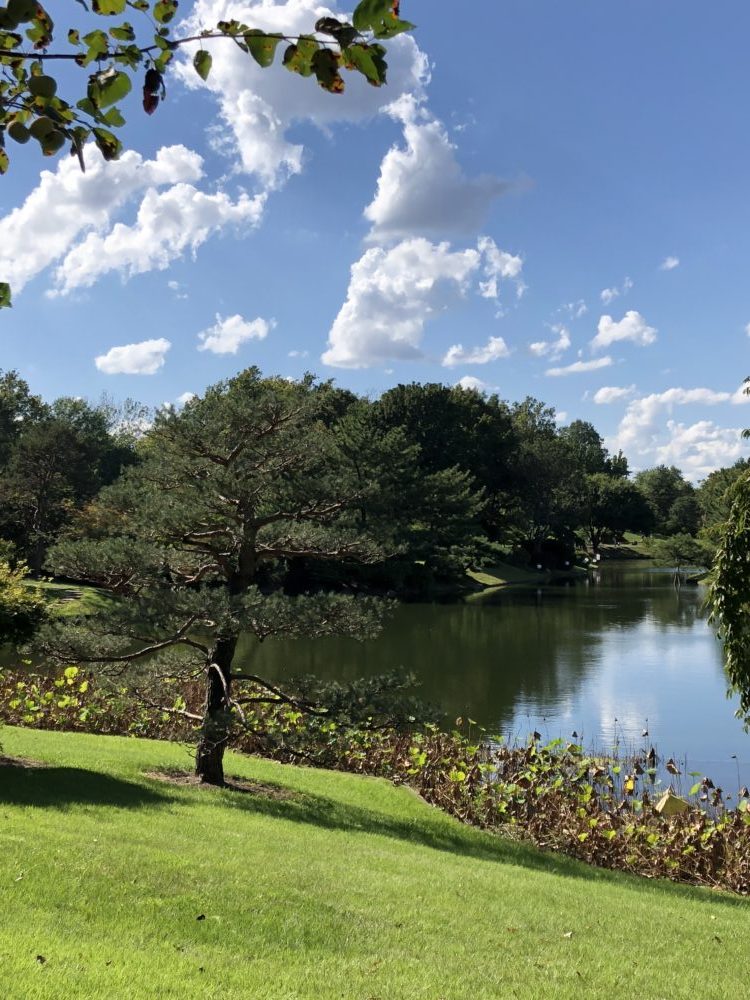 missouribotanicalgarden