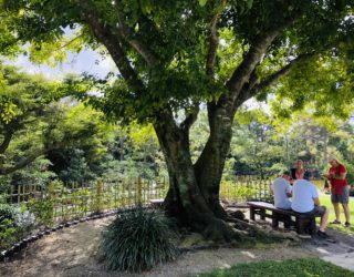 アメリカ🇺🇸出張体験記2019④