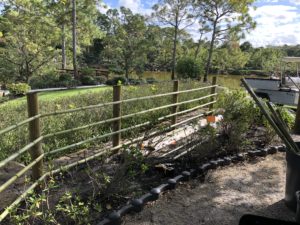アメリカ森上庭園竹垣morikamijapanesegarden