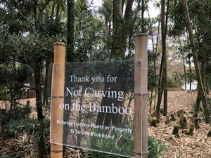 アメリカ森上庭園竹垣morikamijapanesegarden