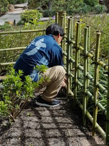 アメリカ森上庭園竹垣morikamijapanesegarden