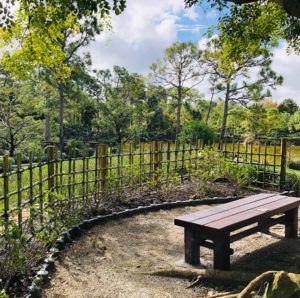 アメリカ森上庭園竹垣morikamijapanesegarden