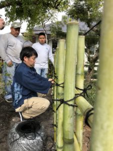 アメリカ森上庭園竹垣morikamijapanesegarden