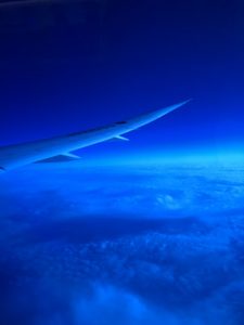 アメリカ森上庭園竹垣morikamijapanesegarden