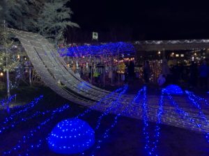 バンビオイルミネーション