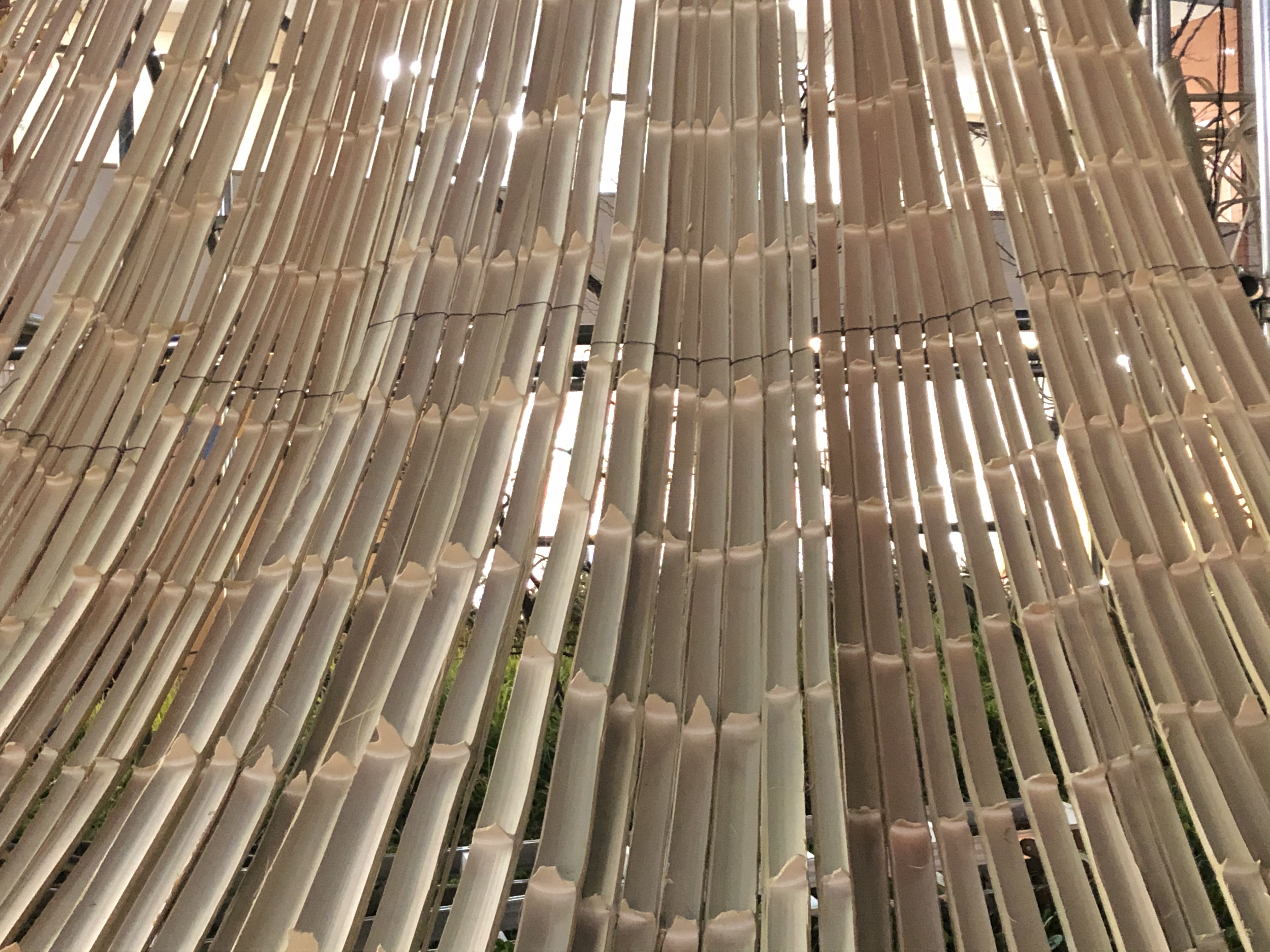 長岡京バンビオイルミネーション2019「竹花灯」