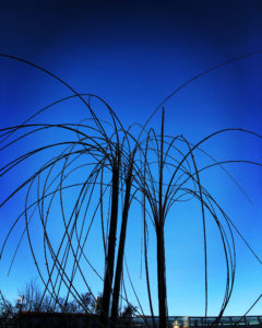 長岡京バンビオイルミネーション2019「竹花灯」