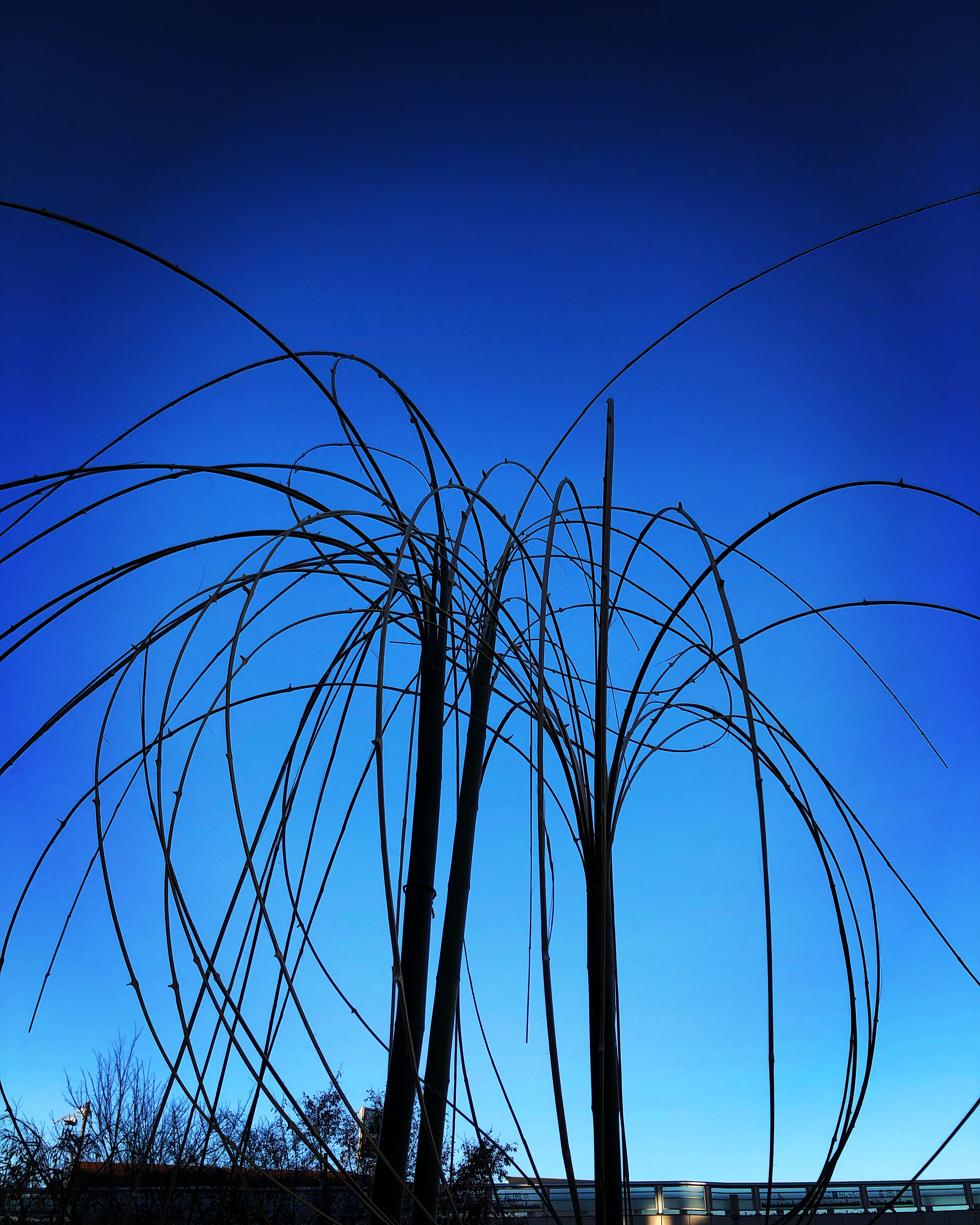 長岡京バンビオイルミネーション2019「竹花灯」