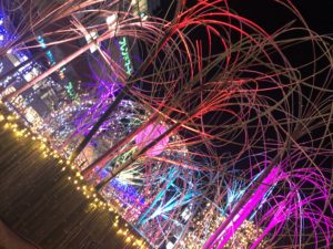 バンビオイルミネーション