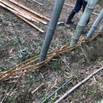 竹垣&竹編みの竹工芸ワークショップにチャレンジ