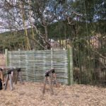 竹垣&竹編みの竹工芸ワークショップにチャレンジ