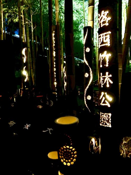 みんなの想火2020竹あかり＠洛西竹林公園